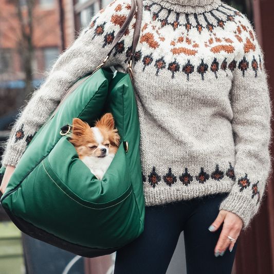 Reiseseng til hund og katt