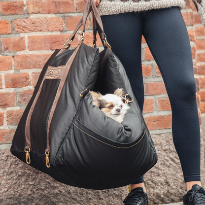 Reiseseng til hund og katt